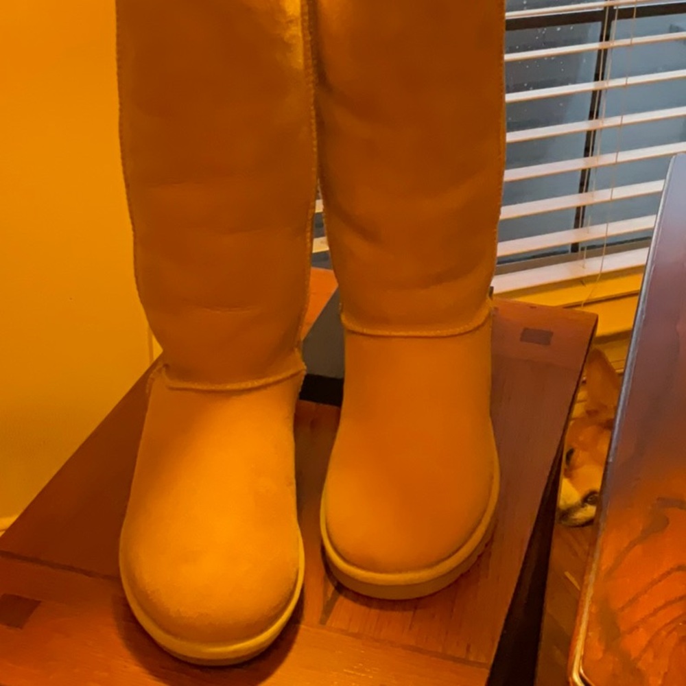 UGGs Classic 14” boots